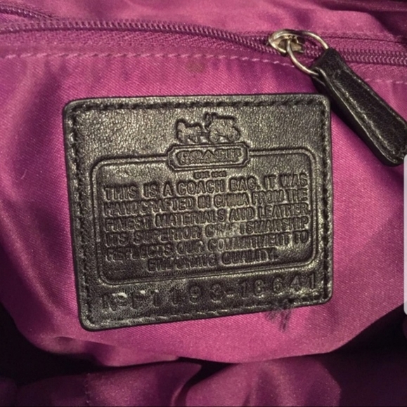 Coach Madison Lindsey - Picture 4 of 4